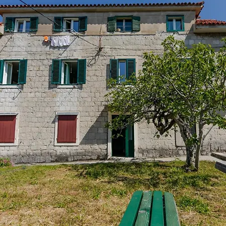 Lana - David, Center Of Split